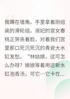 全后宫都在看我搞发明