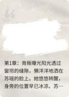 重生之离婚后我嫁给了首富