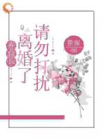 齐台长，离婚了请勿打扰