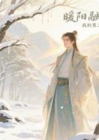 暖阳融雪：我的男二夫君