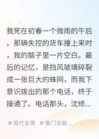 我死后，他爱上了我的日记