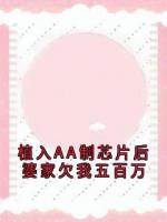植入AA制芯片后婆家欠我五百万