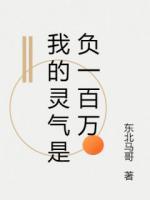 我的灵气是负一百万