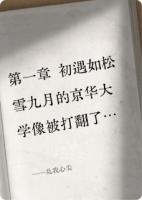 乱我心尖