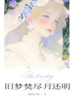 旧梦焚尽月还明