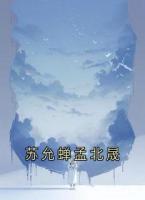苏允蝉孟北晟