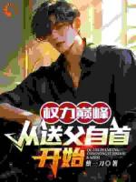 权力巅峰：从送父自首开始