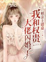 相亲上错桌，我和权贵大佬闪婚了