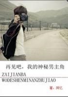 再见吧，我的神秘男主角