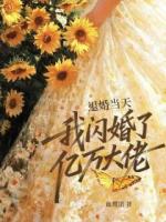 退婚当天,我闪婚了亿万大佬