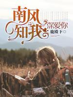 南风知我深爱你