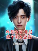 外卖小哥:开局捡个美女总裁