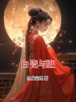 白瓷与脏