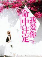 命中注定我爱你