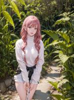 草原的格桑花又开