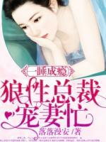 一睡成瘾：狼性总裁追妻忙