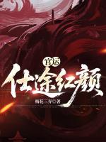 官运：仕途红颜