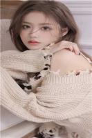 折枝路远不相逢