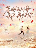 落日归山海，我不再归你