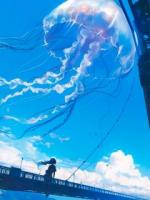 老公装傻三年只为调教我