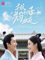 《离职那天，女上司骂我不如一条狗》在线阅读第1章节阅读