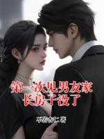 第一次见男友家长房子没了