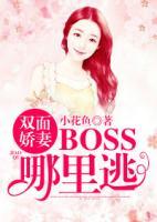 双面娇妻：BOSS哪里逃