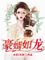 豪婿如龙