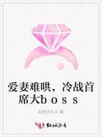 爱妻难哄，冷战首席大boss