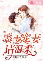 墨少宠妻请温柔