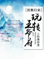 涅槃归来：玩转王爷府