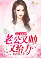 名门宠婚：老公又帅又给力