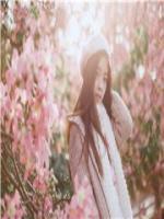 一遇婚成：叶少的闪婚新娘
